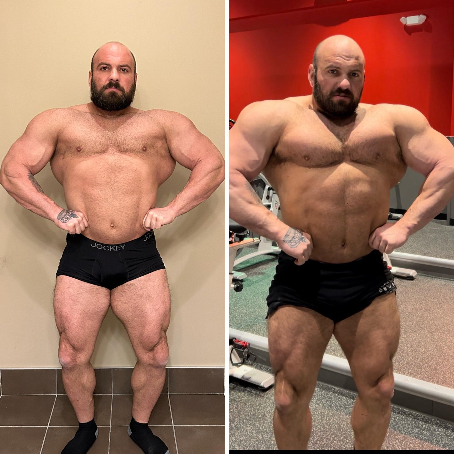 8 Week SUMMER BULK