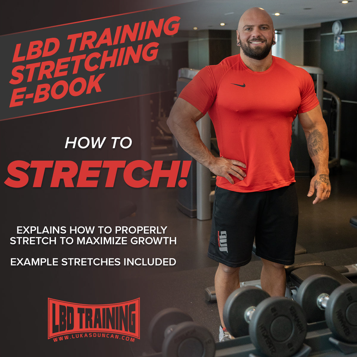 LBD Training Stretching Ebook